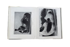Henry Moore, Volume Two: Sculpture and Drawings Since 1948