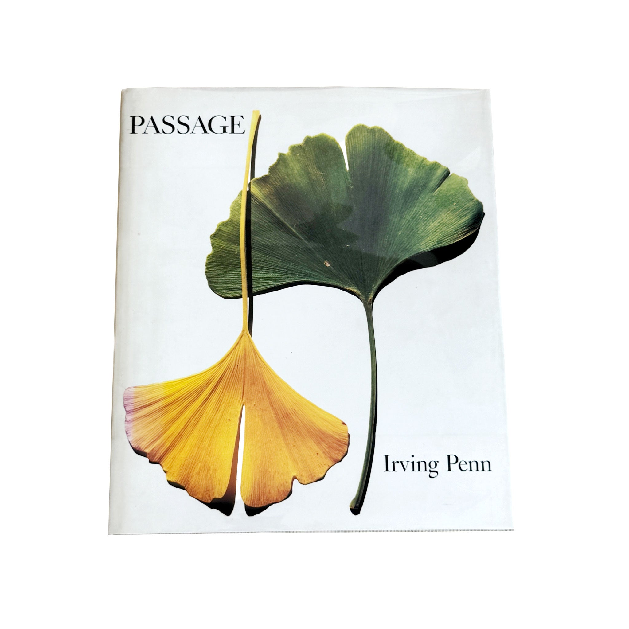 Passage: A Work Record