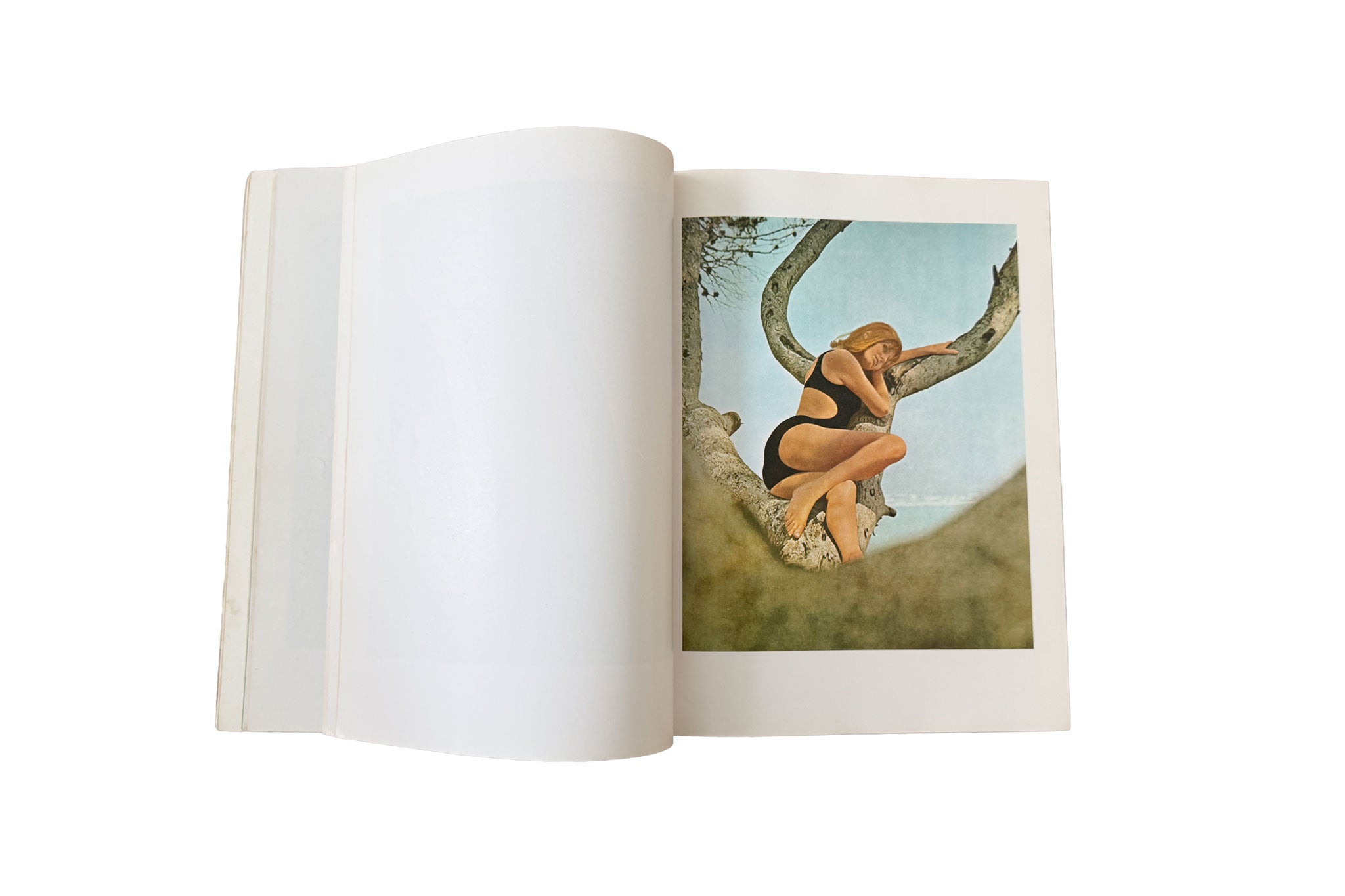 The Complete Pirelli Calendar Book
