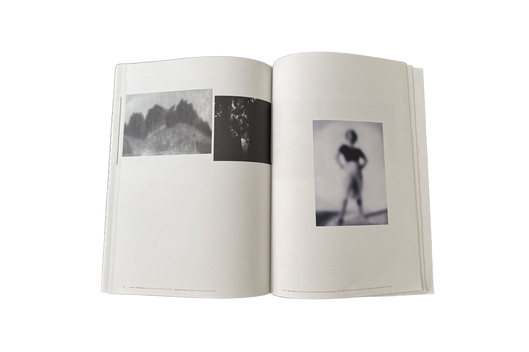 Der Greif No. 8