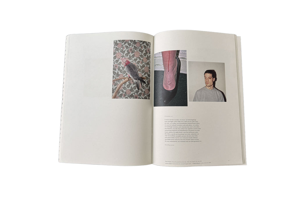 Der Greif No. 8