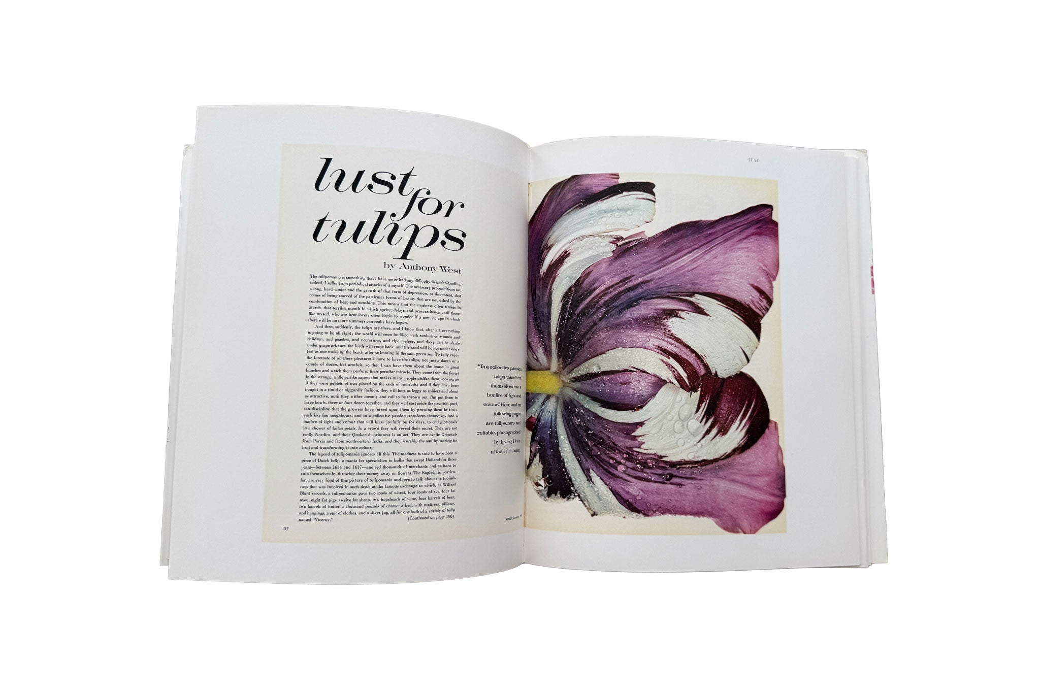 Objects for the Printed Page
